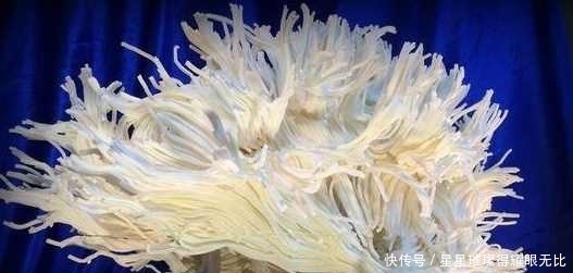 有意思|10个有意思的冷知识,你可能想象不到,知道了就感觉比较牛了!