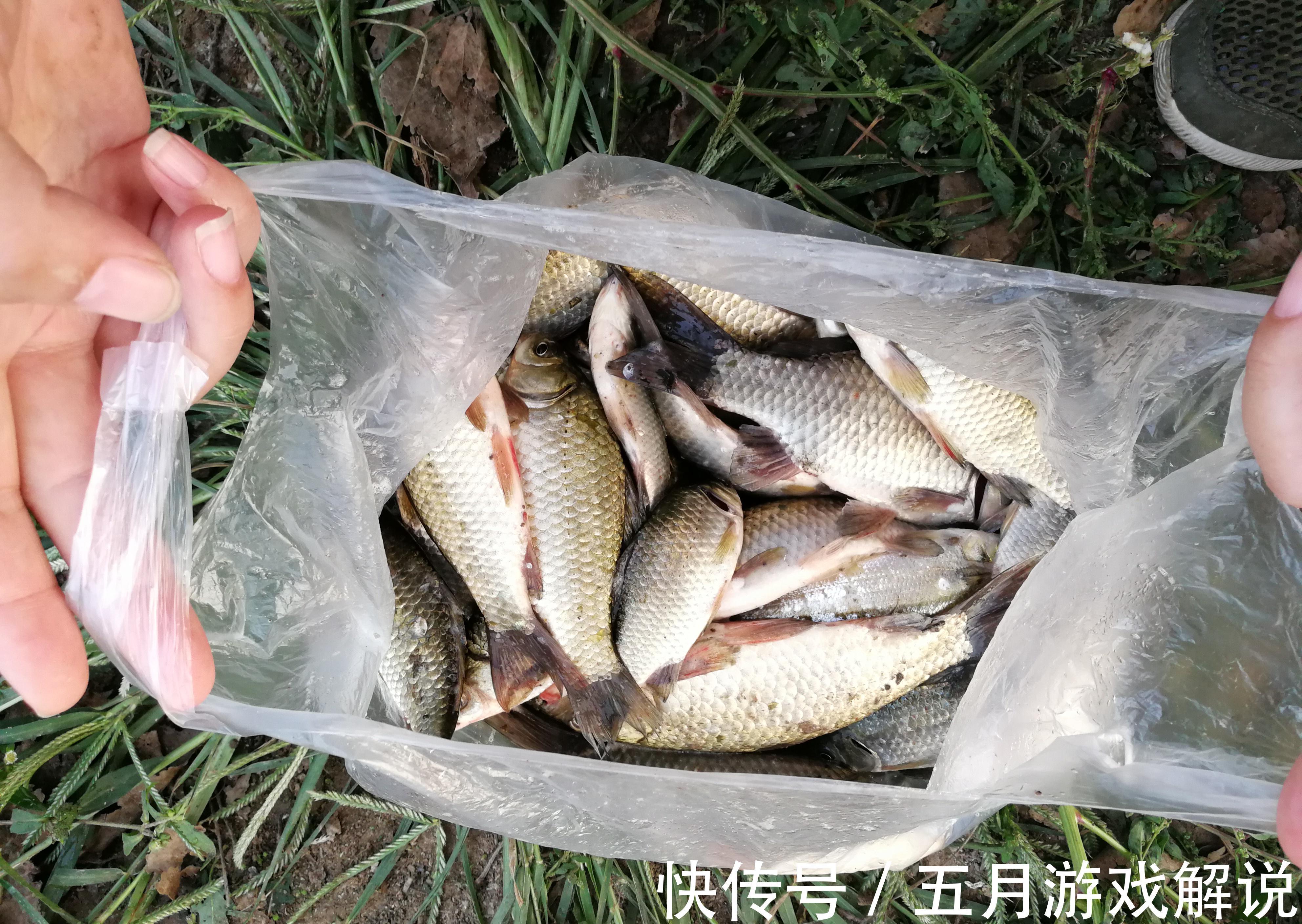 冬季野钓,你得会钓草,这三个有草的位置,草底下都是鱼