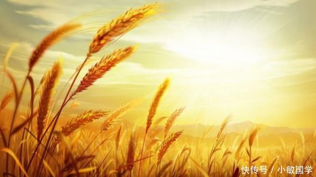 三宝|如瑞法师:以诚心供养三宝