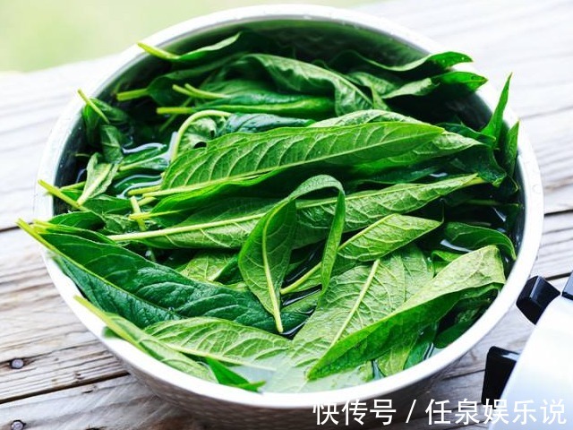 芝麻叶|芝麻叶比芝麻还值钱,不要再扔掉了,吃对方法肾虚好了,头发黑了