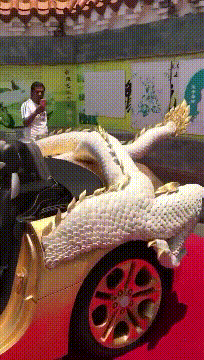 阿姨|“健身房阿姨的手臂都快45了...”