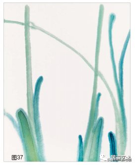 教程@图文教程——芭蕉画法