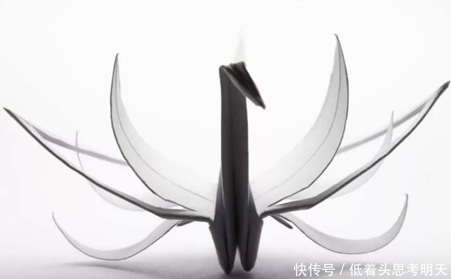  重样|每天折一只千纸鹤，他坚持了1000天不重样，女友被感动到梨花带雨