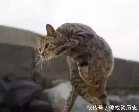 功夫|“三脚猫的功夫”是从何时何处而来的?