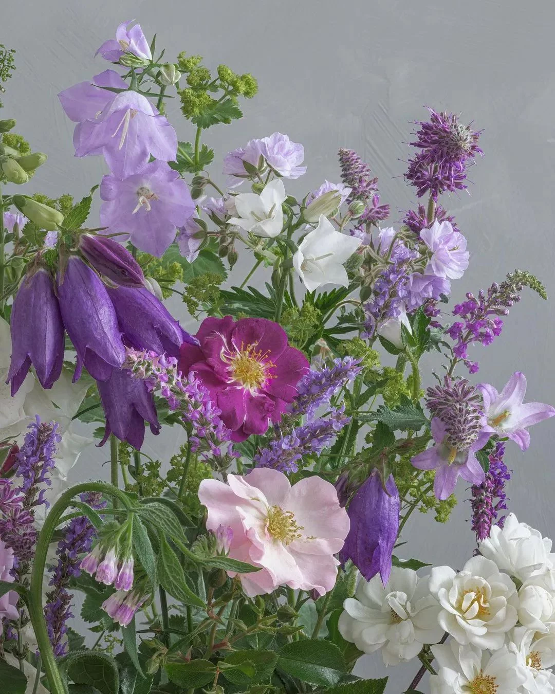 天下风物——《【平凡英雄非凡力量】诗韵咏合》风光题照