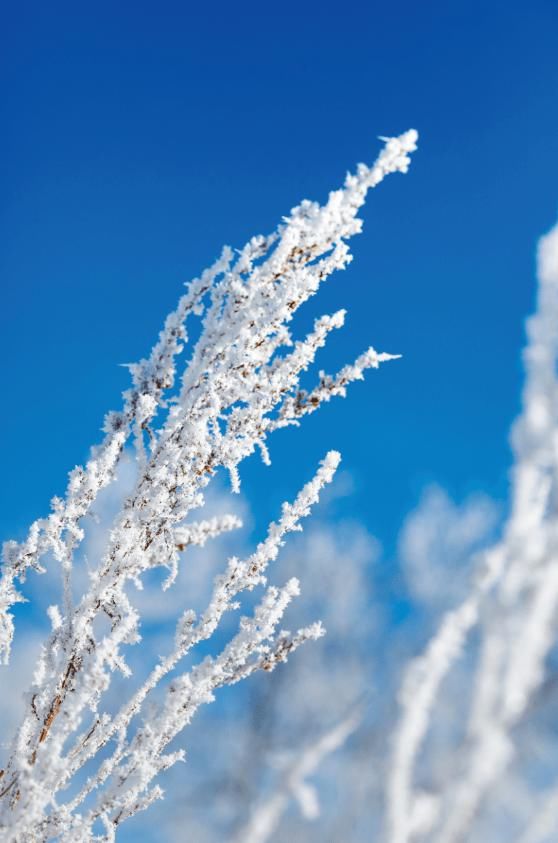 凝霜|凝霜挂雪白狼峰雾凇迎客来