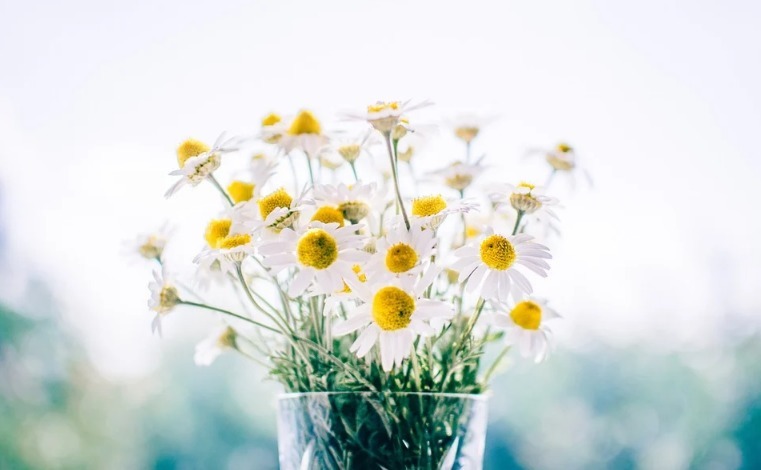 人生|最健康的生活方式