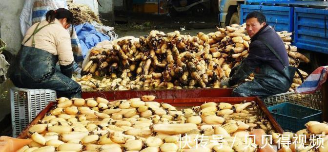 茭白|秋天就要多吃9种白色蔬菜,去秋燥物美价廉,多吃对身体好处多多