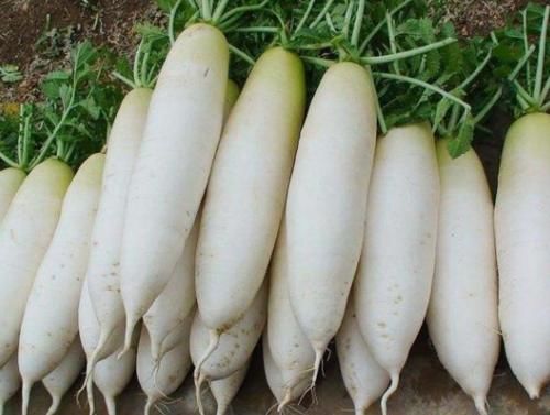 食物|助长寿大排名,此食物竟然是“长寿王”?你经常吃哪几种?