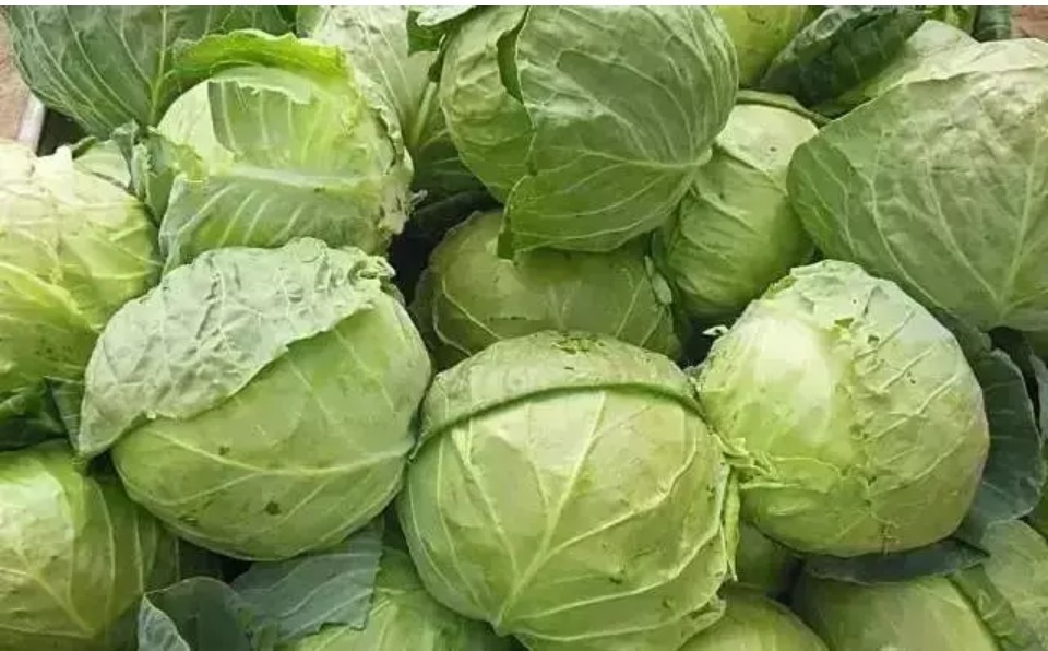 保护血管|血管洗个澡，健康活到老！每天洗1次，血管干净，99岁都不老！