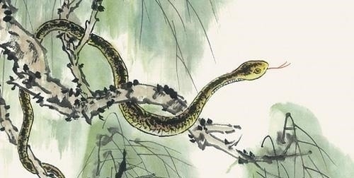 主动性|年底再赚一桶金的3生肖,近期生意好,事业强,年终业绩再上层楼