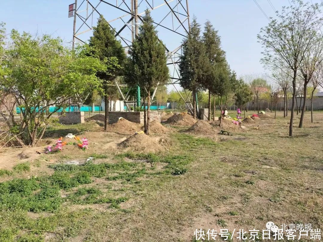 郊野公园？荒郊野地？北京朝阳、通州多个郊野公园冒出许多坟头