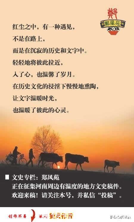 中年|蜡梅，南阳府衙最美的遇见