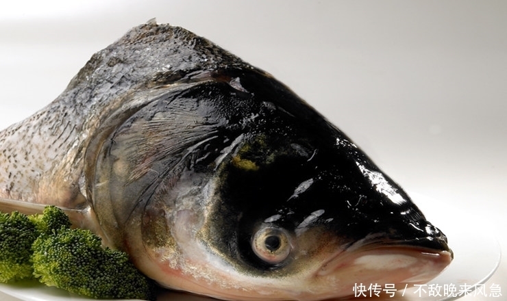 早知|记住少吃鱼的此部分,但很多人不明白,早知早受益