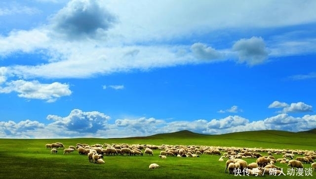 2006年,因春晚走红的吉祥三宝,竟已天人永隔,现状让人嘘唏不已