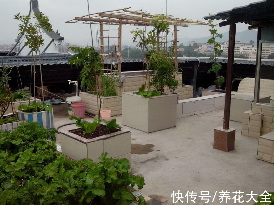 高空抛物|新楼盘开盘，一楼的小院和顶楼的天台，让我这养花人犯了难