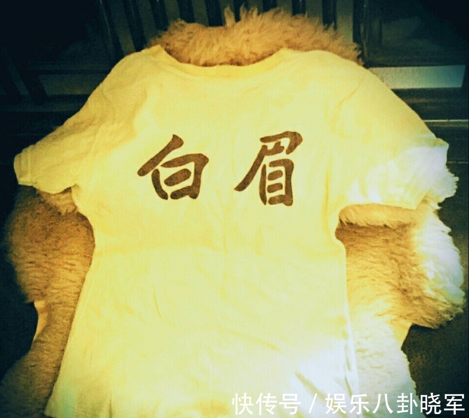 莲生|浅谈张礼泉的实战能力,曾击败七八名持枪杀手,东江猛虎名下无虚