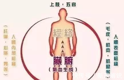 难经|搞懂了人体的“三焦”，所有疑难杂症，都可迎刃而解，建议收藏！