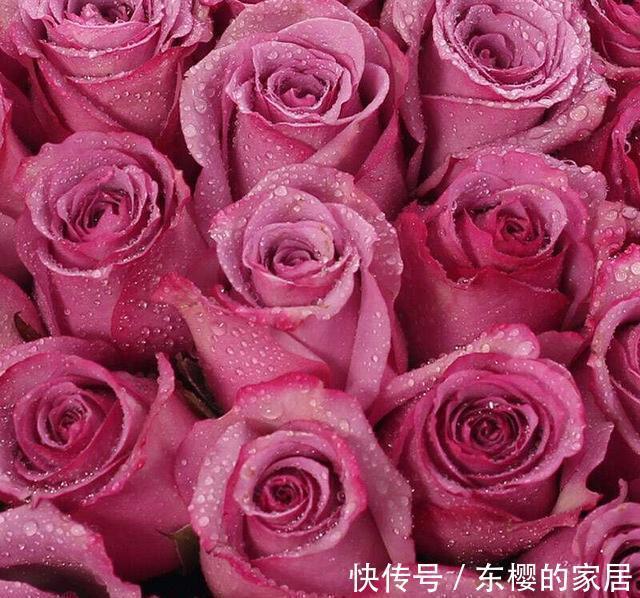 射手座座|2021下半年,四大星座时来运转,事事顺利,心想事成