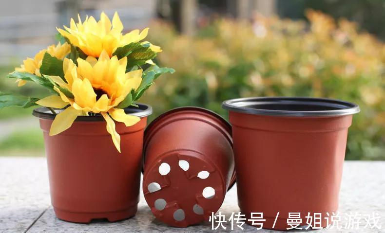 劣质花盆栽种花卉,再用心管理也白搭,几种花盆要慎选