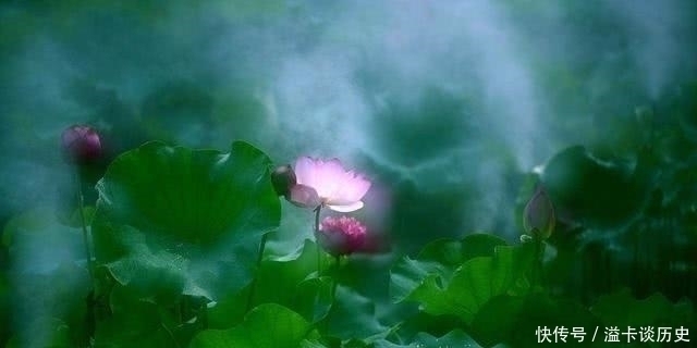 天规#老子:悟道的人,无论做什么事,始终守住这条天规