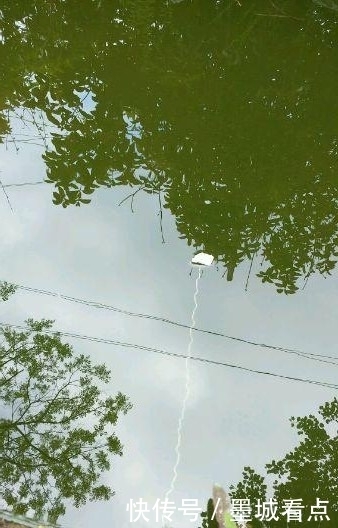 鱼钩|没想到还能这样钓鱼,一看就是个高手