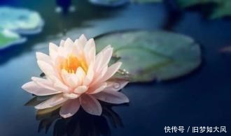 对方的角度|鬼谷子真正聪明的人,说服他人常常会用这两种方法,百试百灵