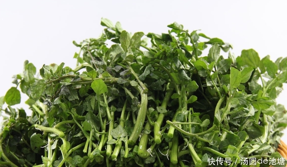 女性不想赘肉横生,常吃此菜,燃烧脂肪,减掉大肚子,皮肤更细腻