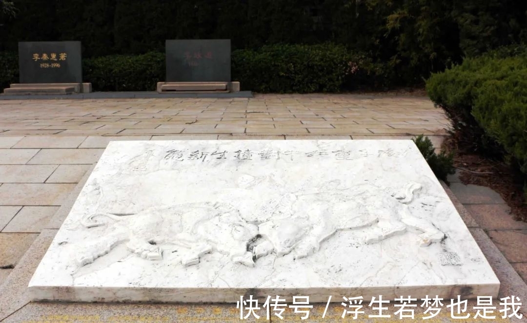 马约拉纳!李政道先生的诗情画意|左图右史