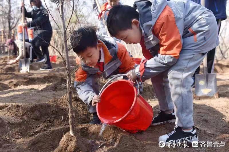 植树|植树造林从娃娃抓起——齐鲁实验学校举行小学生亲子植树活动