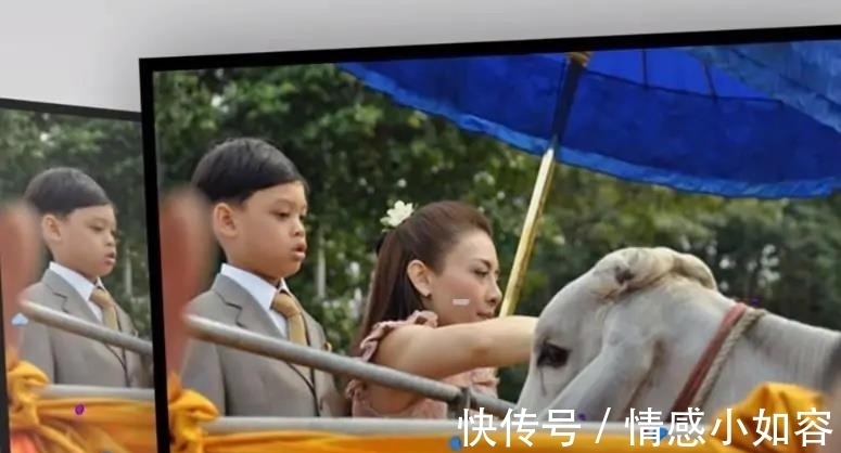 母子|西拉米母子迎来高光时刻，登上皇家电视台，提帮功有望成为王储