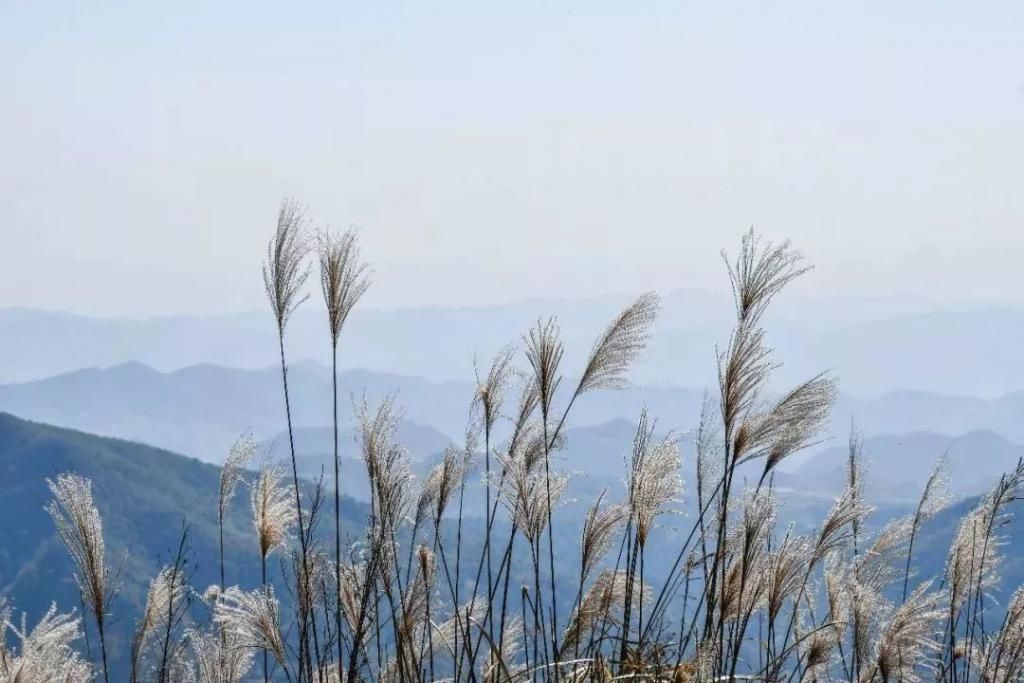 景色|绝美初冬！都藏在这些景色之中......