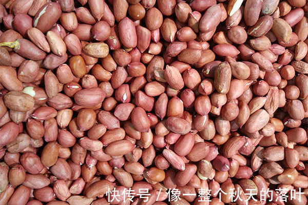 养胃|养生吃补药，不如每天多嚼几粒花生，除了养胃，还有几大好处