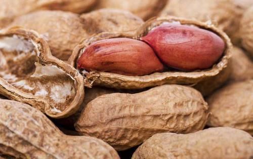 血糖升高什么导致,可能是2种素食,导致你血糖升高