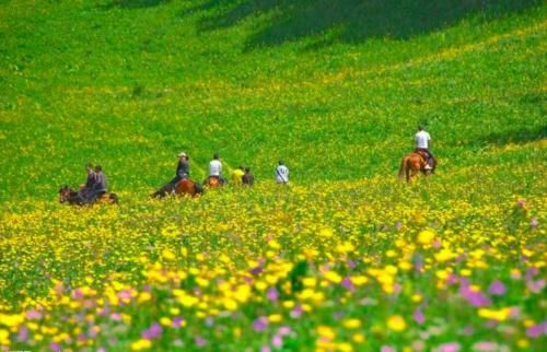 高原|甘南旅游注意事项：必带物品、禁忌事项、高反措施、自驾经验