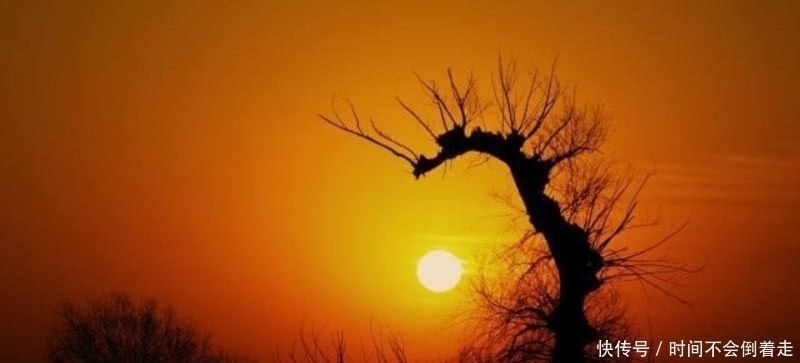 唐多令|刘过最经典的一首词,通篇描写得生动有趣,更是成为千古名篇!