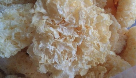 支气管炎|支气管炎遇到它就消停，每天3杯，润肺止咳，消炎抗菌，加快痊愈