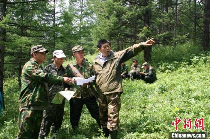 生态系统|综述：内蒙古大兴安岭：靠颜值“吸粉” 靠价值“出圈”