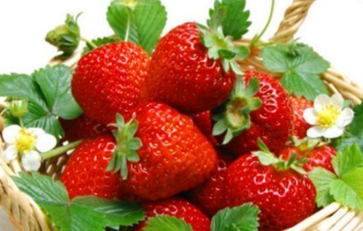 王医师|女性不想做黄脸婆，多吃的食物，呵护肌肤，延缓衰老，排毒养颜