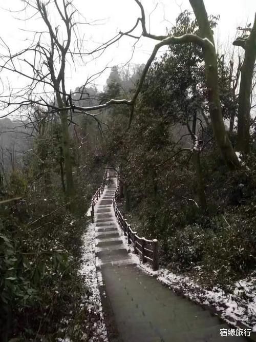 去峨眉山半山腰看雪吧