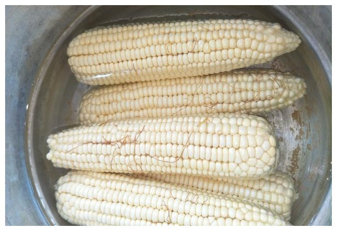 一样是玉米，选黄色的好吃还是白色的看看老农说法，别再乱买了