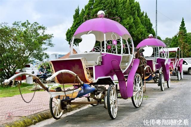 胡春香|诗人旅游的好去处，大叻美丽的人工湖，夏天游玩纳凉的好地方