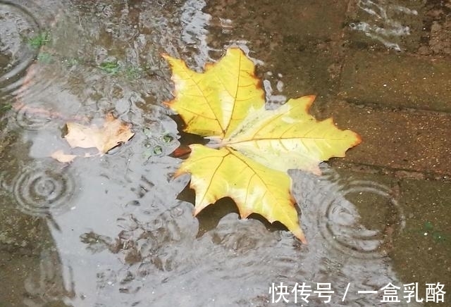 黄树影|“一路独行风渐紧,满街心事透衣衫”这句诗如何?七言绝句欣赏