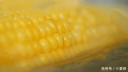 多汁|做水煮玉米,不要直接下锅!多加这一步,玉米鲜嫩多汁更香甜