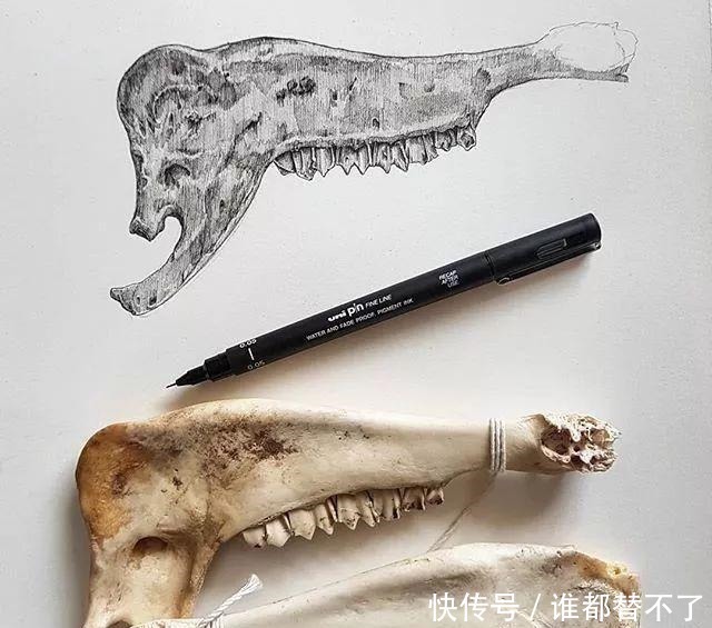 针管$全球最抠女画家，用一支2元针管笔惊艳世界，连英国皇室都惊叹