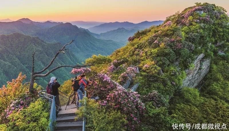 光雾山旅游景区，拟升5A级|喜报 | 景区