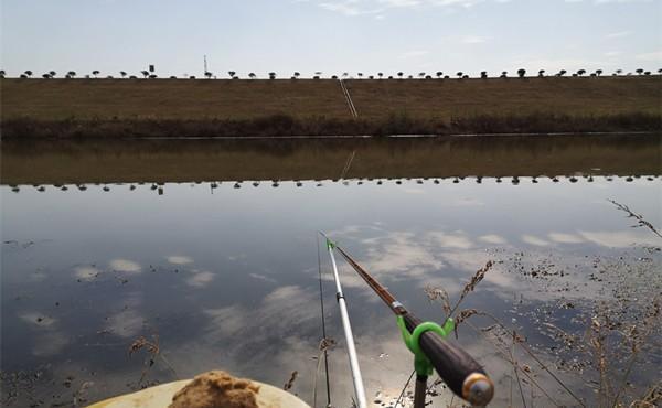 冬季钓鲫鱼,不宜选择这5类钓点,这些位置冬季没鱼
