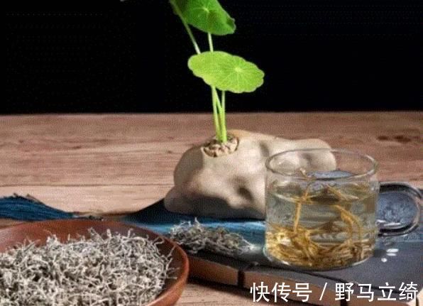 睡眠|晚上失眠总是睡不好,此3种“安神茶”喝下去,一觉睡到天亮