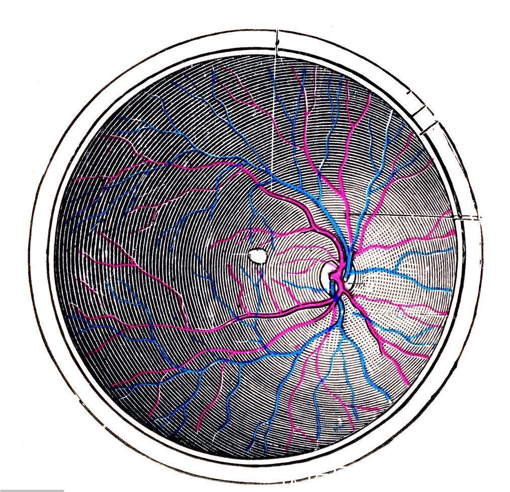 小武|身体健康,只是有1000度的近视,为什么就不能献血了