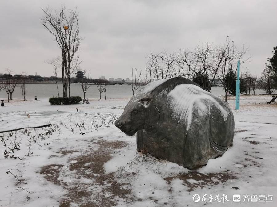 情报站|漫步东昌湖风景区，赏别样风雪美景